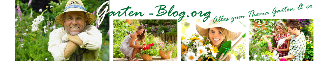 Garten Blog
